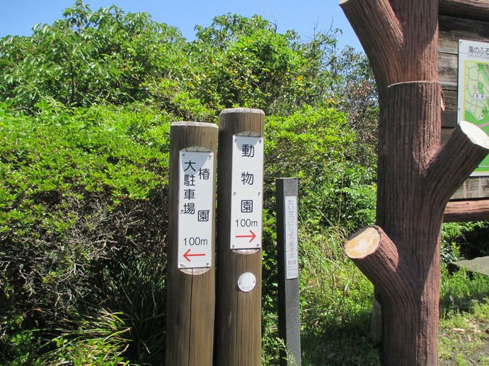 大島公園動物園　入口