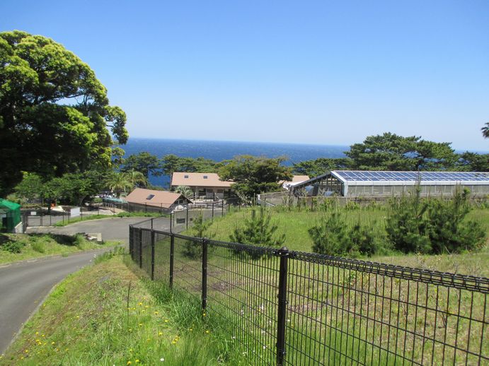 大島公園動物園　園内