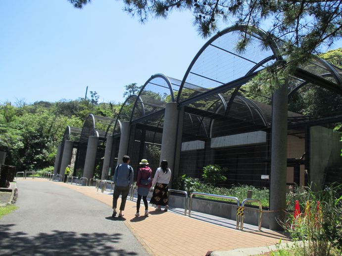 大島公園動物園　園内