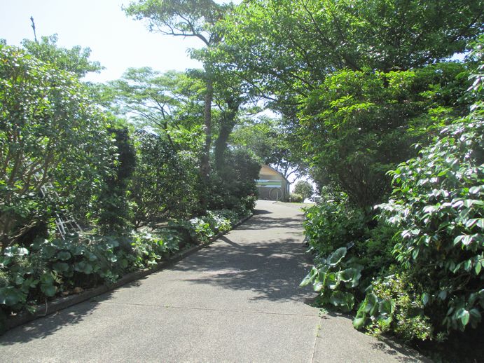 椿花ガーデン　園内