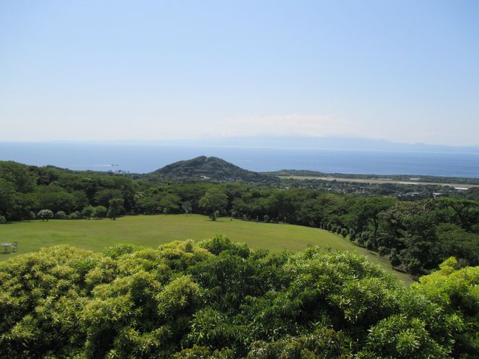 椿花ガーデン　芝生の広場