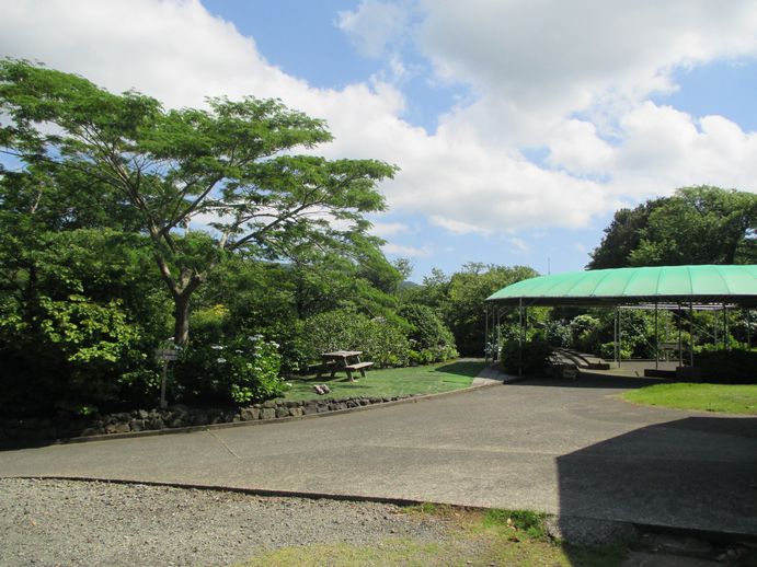 椿花ガーデン　園内