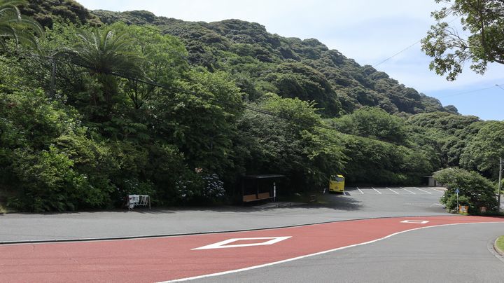 ゾウガメ屋外放飼場へ引越　駐車場