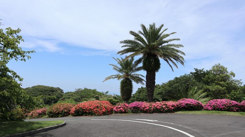 ゾウガメ屋外放飼場へ引越　景観