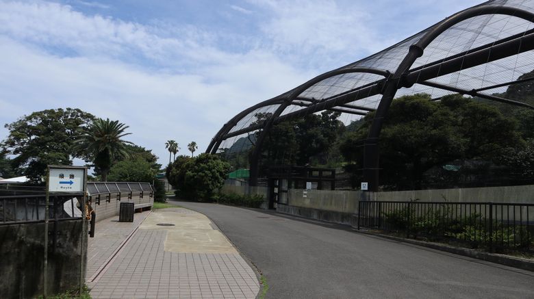 ゾウガメ屋外放飼場へ引越　園内