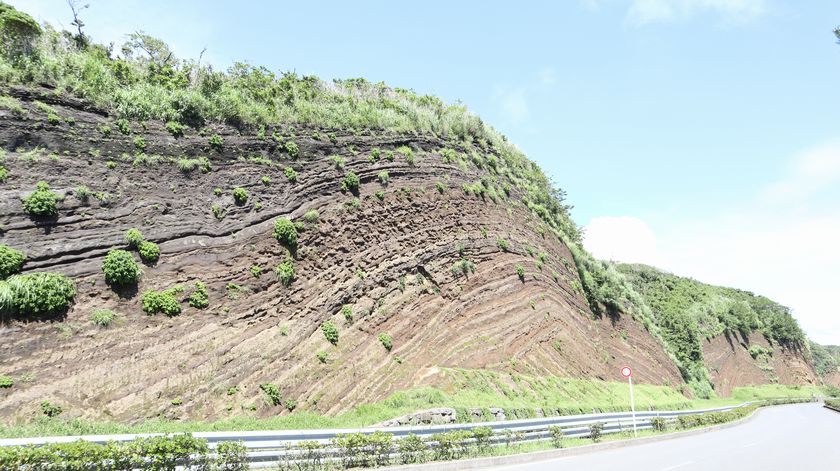 バームクーヘン　道路