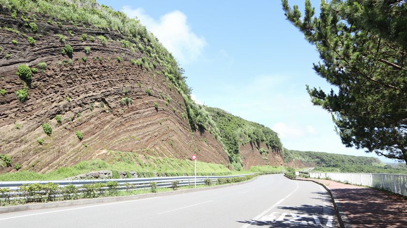 バームクーヘン　道路