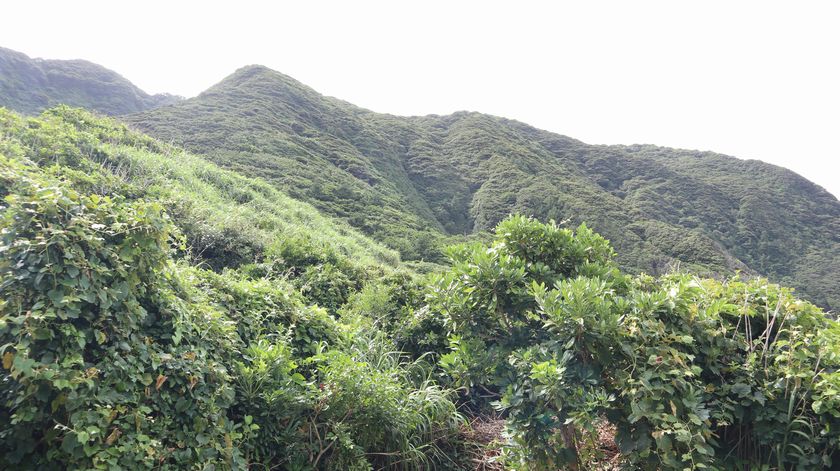 筆島２　景観