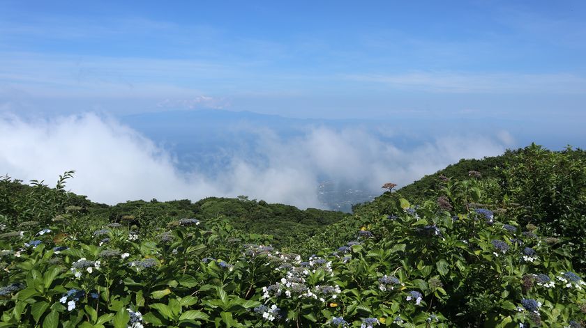 三原山　上から見た元町