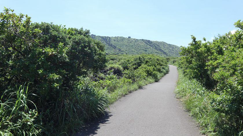 三原山　遊歩道