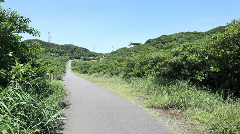 三原山　遊歩道