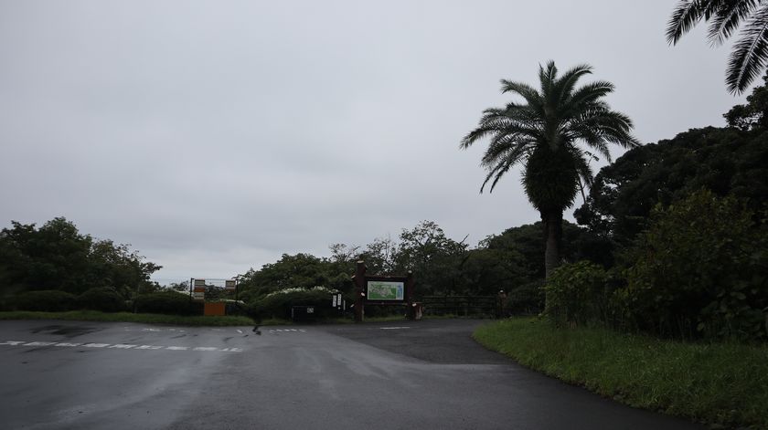 大島公園動物園　入口付近