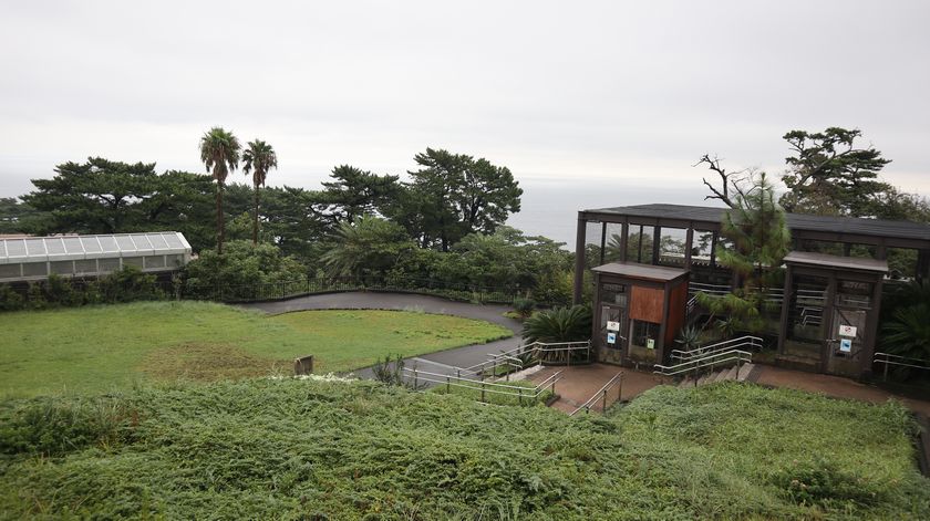 大島公園動物園　園内