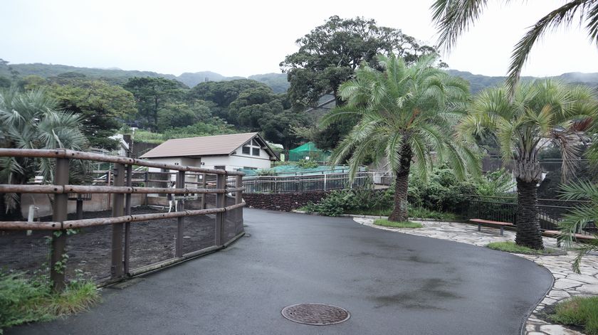 大島公園動物園　園内