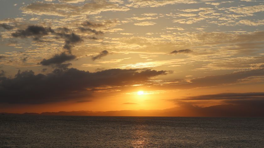 サンセットパームライン夕陽　夕陽