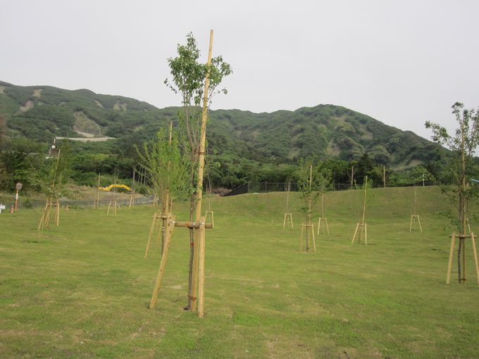 メモリアル公園