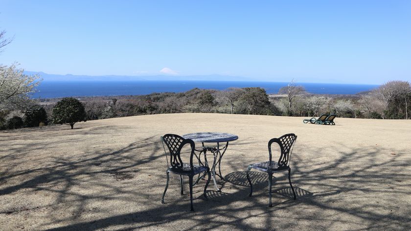 椿花ガーデン　芝生の広場