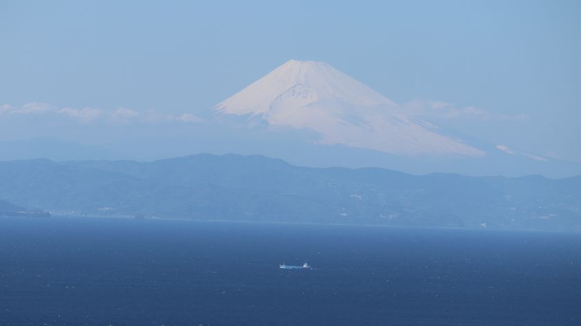 椿花ガーデン　富士山