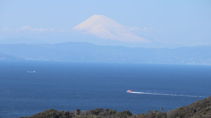 椿花ガーデン　富士山