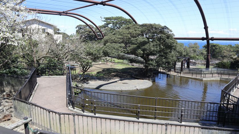 大島公園動物園　園内