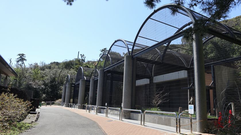 大島公園動物園　園内