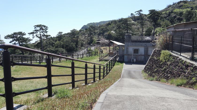 大島公園動物園　園内