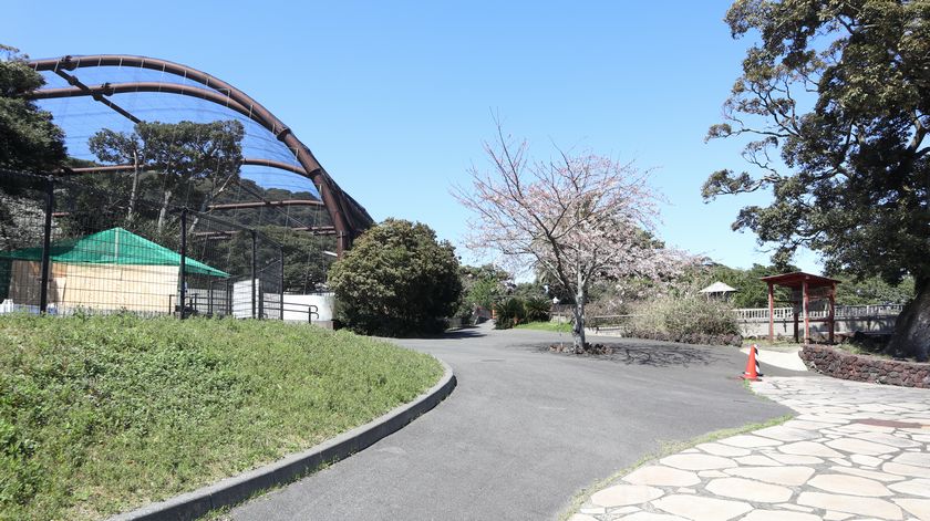 大島公園動物園　園内