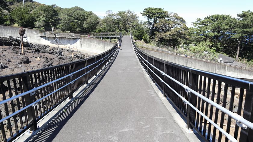 大島公園動物園　園内