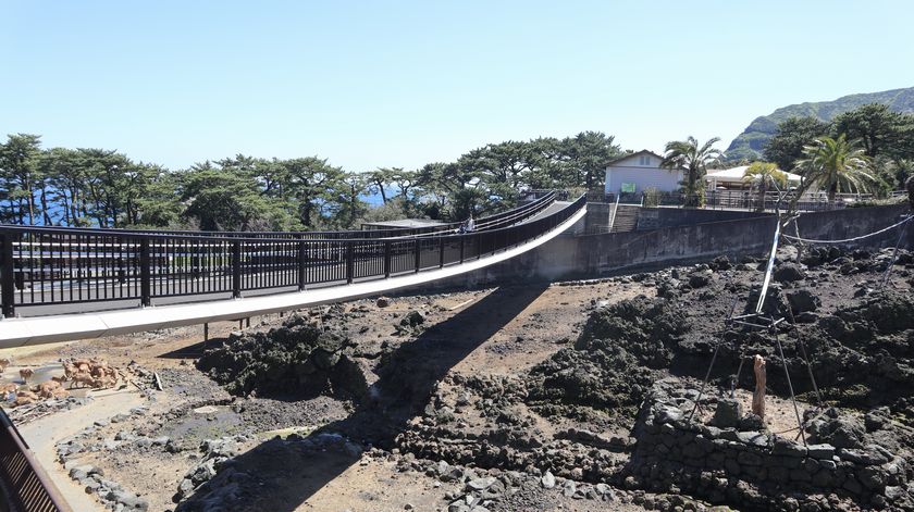 大島公園動物園　園内