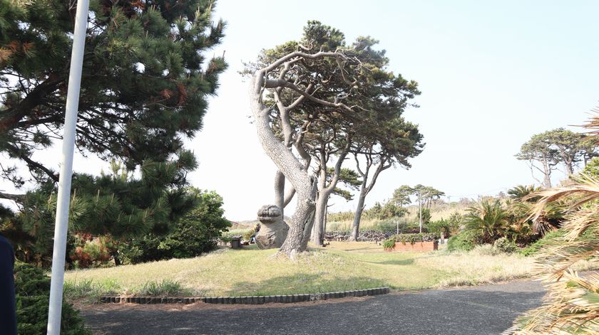 サンセットパームライン　長根浜公園