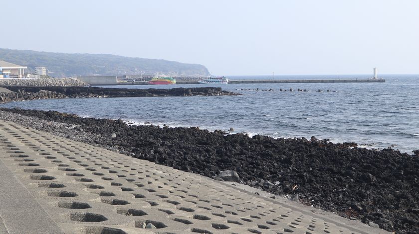 サンセットパームライン　元町港