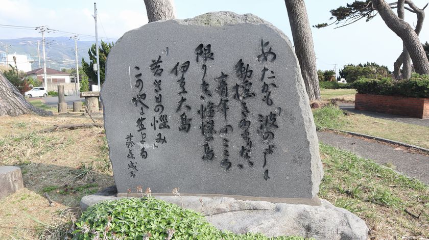 サンセットパームライン　長根浜公園