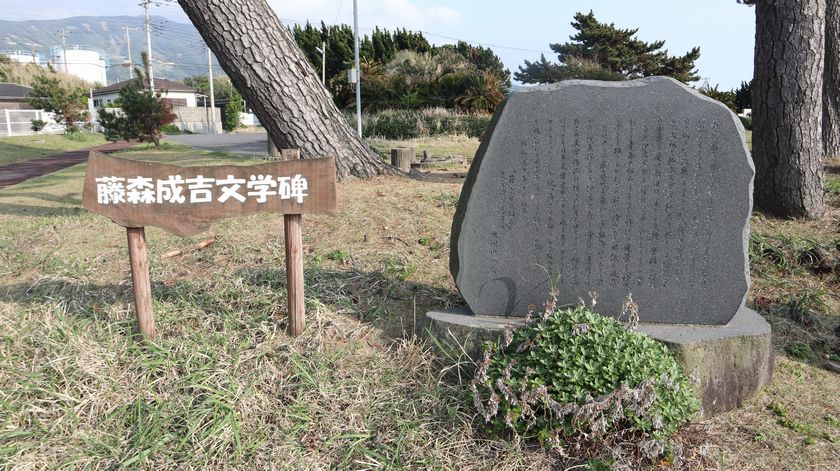 サンセットパームライン　長根浜公園