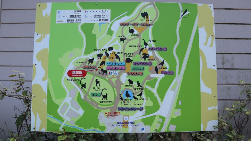 大島公園動物園　案内板