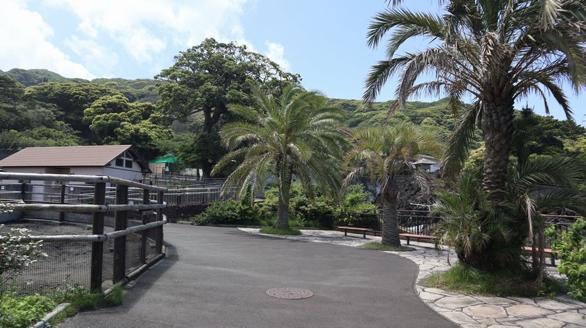 大島公園動物園　園内