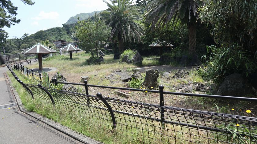 大島公園動物園　園内