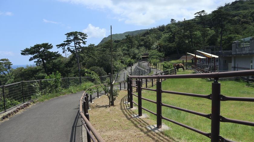 大島公園動物園　園内