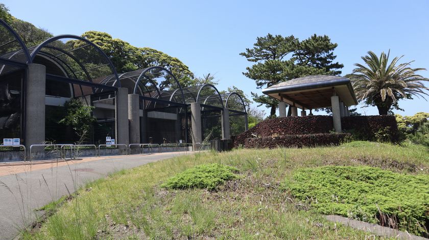 大島公園動物園　園内