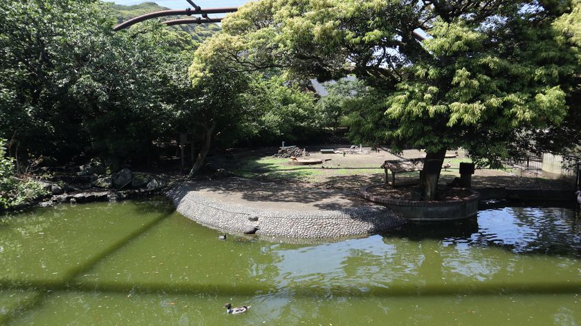 大島公園動物園　園内