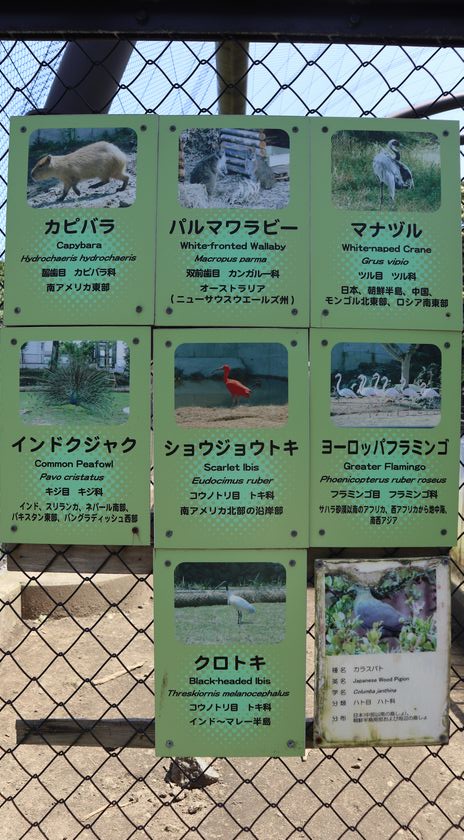 大島公園動物園　動物の説明