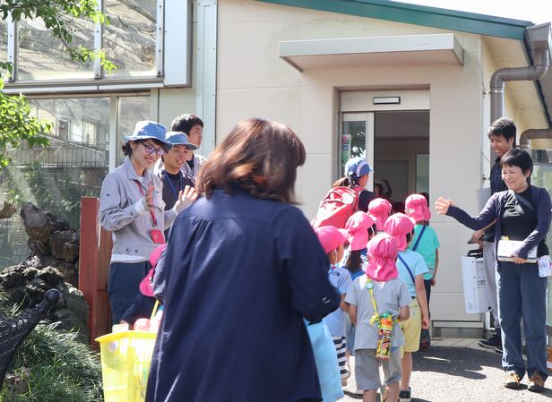 ゾウガメ屋外放飼場への引越し