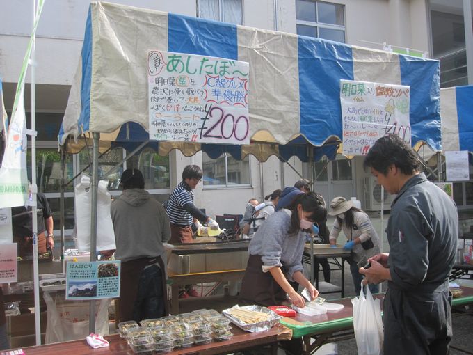 第６回日本ジオパーク関東ブロック大会 in 伊豆大島