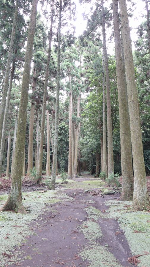 波治加麻神社