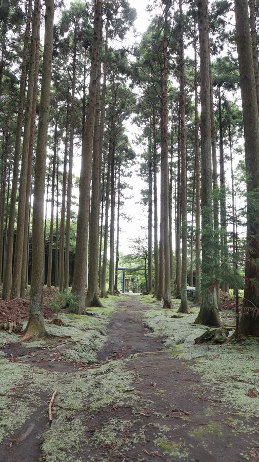 波治加麻神社