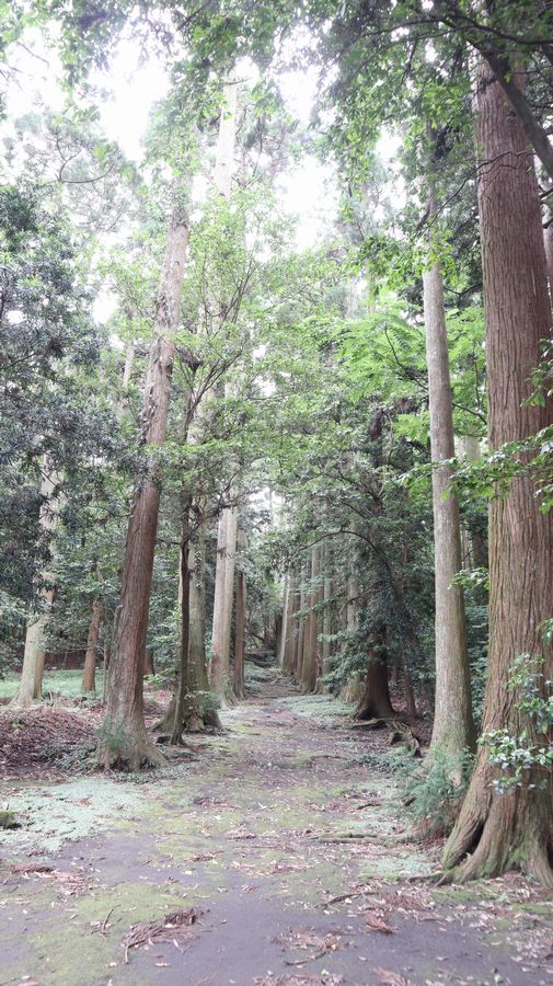 波治加麻神社