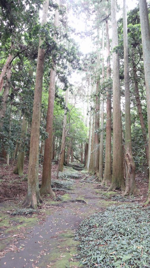 波治加麻神社