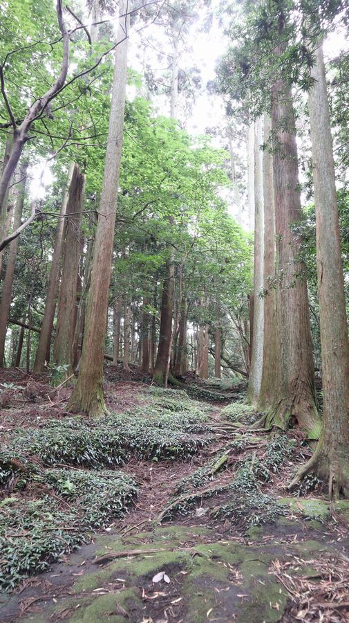 波治加麻神社