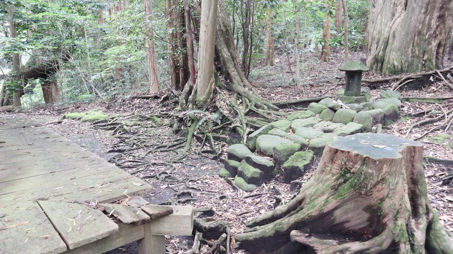 波治加麻神社