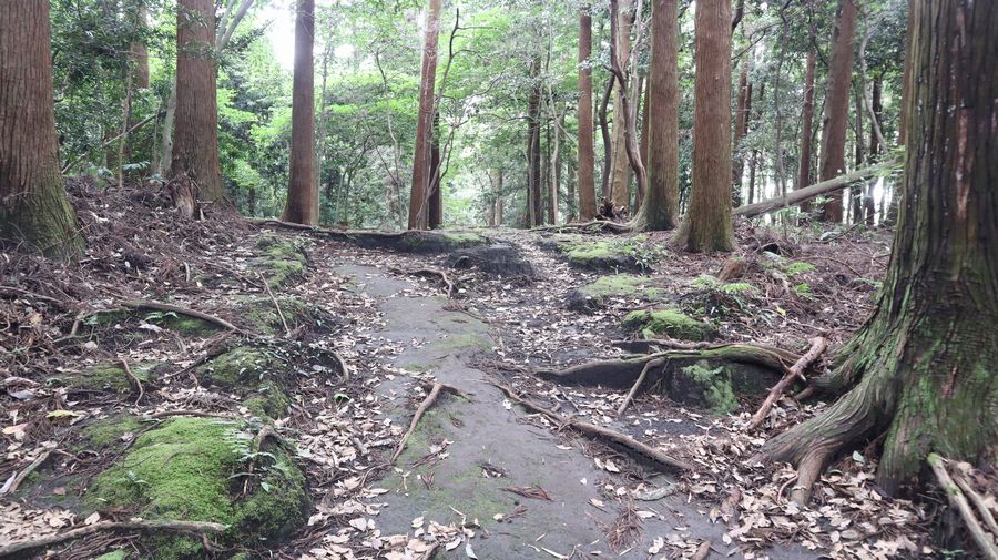 波治加麻神社