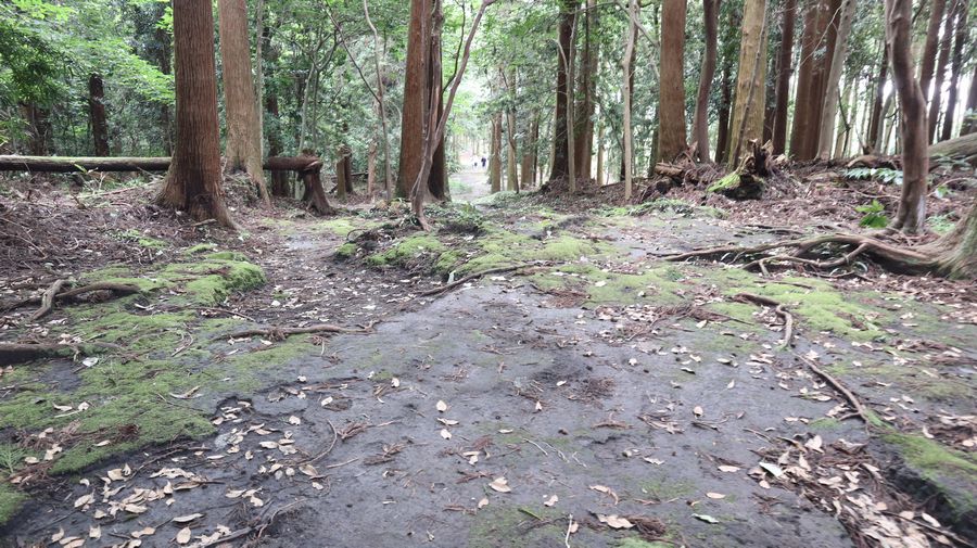 波治加麻神社